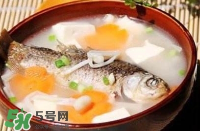 鯽魚湯的做法孕婦喝 孕婦鯽魚湯做法大全 鯽魚湯的做法孕婦喝 孕婦鯽魚湯做法大全