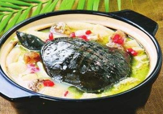 甲魚湯下奶嗎？下奶的食物有哪些？