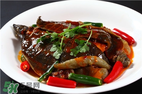 甲魚湯是涼性的嗎？甲魚湯的禁忌人群