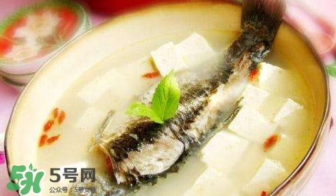 鯽魚湯的做法孕婦喝 孕婦鯽魚湯做法大全 鯽魚湯的做法孕婦喝 孕婦鯽魚湯做法大全