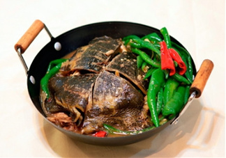 甲魚湯是涼性的嗎？甲魚湯的禁忌人群