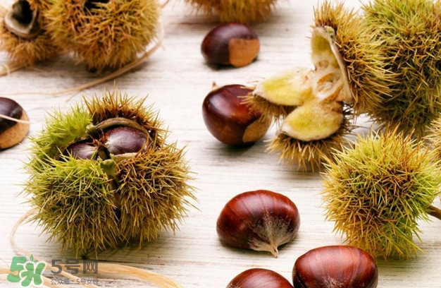 被板栗刺了怎么辦？板栗刺球煮水喝有什么作用