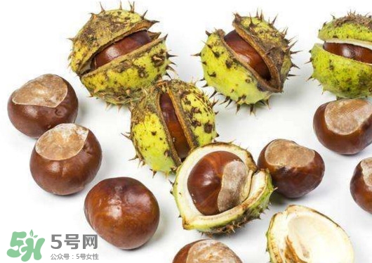 板栗殼怎么好剝？怎樣剝板栗殼最快