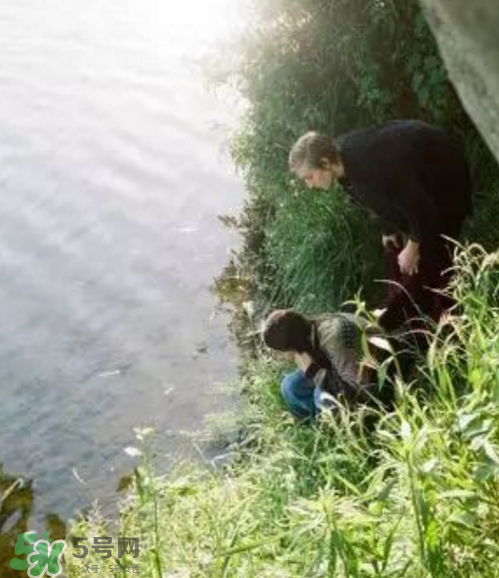 lad musician2017秋冬系列怎么樣_好看嗎_款式有哪些？