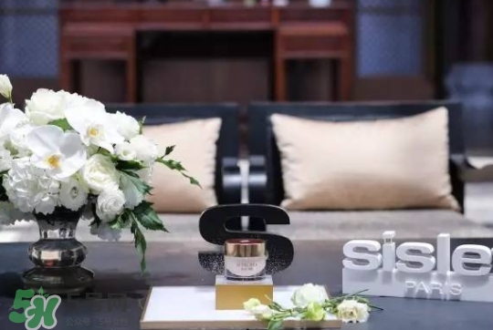 希思黎金鉆晚霜多少錢？希思黎金鉆晚霜怎么用