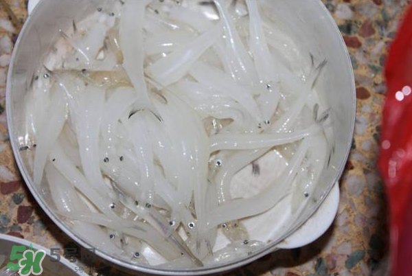 大銀魚多少錢一斤？大銀魚怎么洗？