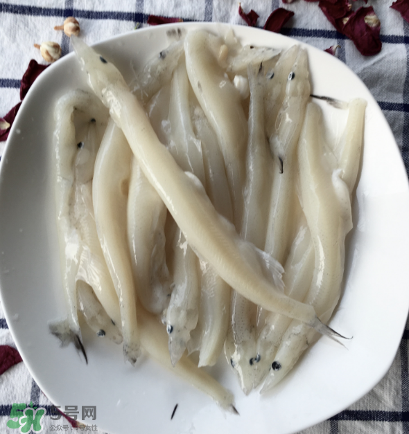 大銀魚多少錢一斤？大銀魚怎么洗？