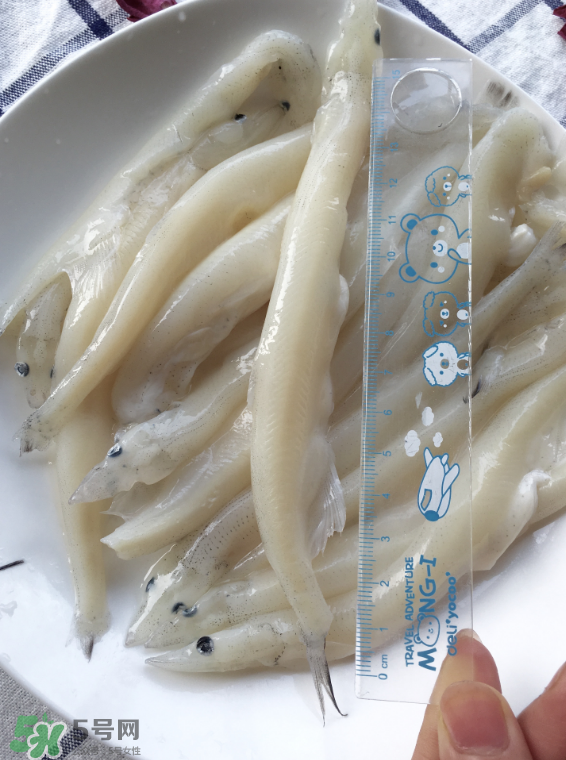 大銀魚多少錢一斤？大銀魚怎么洗？