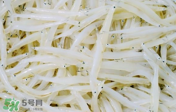 銀魚可以煲粥嗎？銀魚可以包餃子嗎？