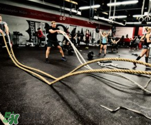 戰(zhàn)繩可以天天練嗎？戰(zhàn)繩能每天都練嗎？