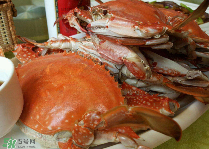 梭子蟹是海里的嗎？梭子蟹是螃蟹嗎？