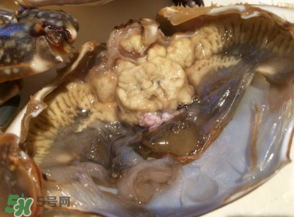 梭子蟹是野生的嗎？梭子蟹養(yǎng)的還是野生的？