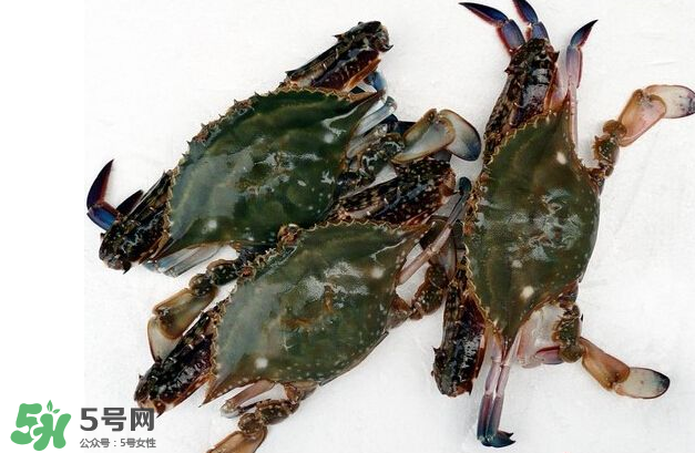 梭子蟹有寄生蟲嗎？梭子蟹有寄生蟲能吃嗎？