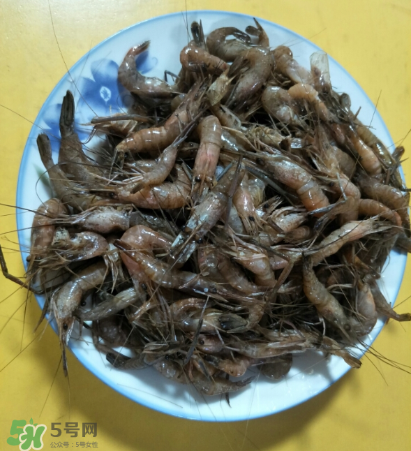 河蝦是發(fā)物嗎？河蝦是不是發(fā)物？