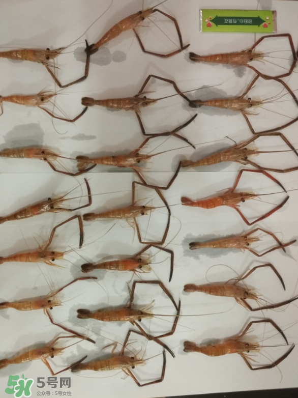 河蝦是海鮮嗎？河蝦屬于海鮮嗎？