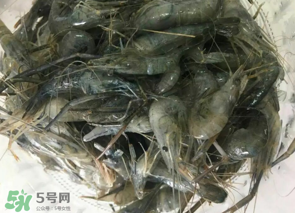河蝦是基圍蝦嗎？河蝦是辛辣食物嗎？