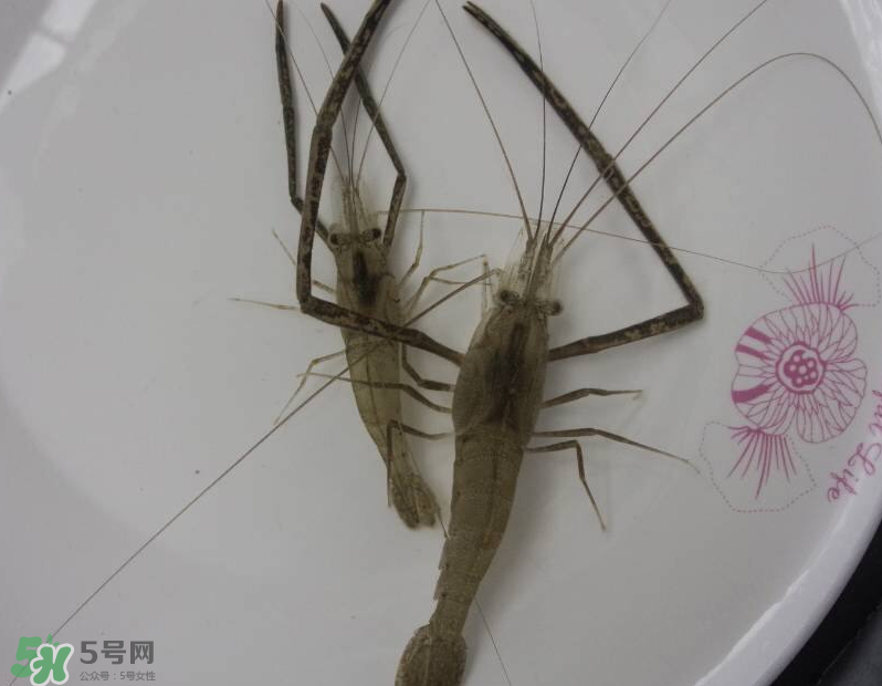 河蝦可以和牛奶同食嗎？河蝦和牛奶能一起吃嗎？