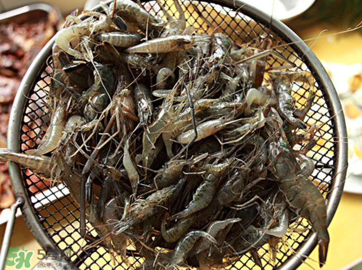 河蝦可以吃頭嗎？蝦頭到底能不能吃？