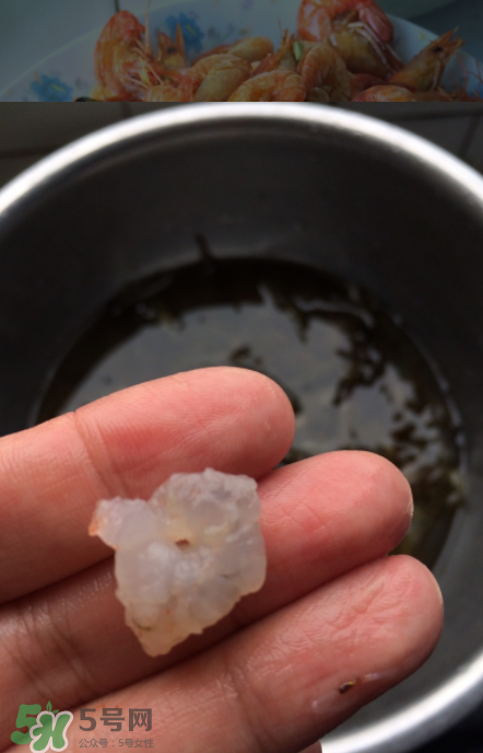 河蝦可以放冰箱嗎？河蝦在冰箱能放幾天？