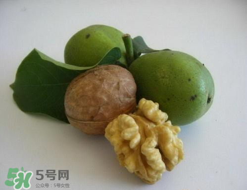 鮮核桃和干核桃哪個(gè)更有營養(yǎng)？鮮核桃和干核桃哪個(gè)營養(yǎng)價(jià)值高？