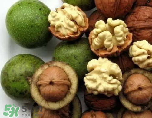 鮮核桃和干核桃哪個(gè)更有營養(yǎng)？鮮核桃和干核桃哪個(gè)營養(yǎng)價(jià)值高？