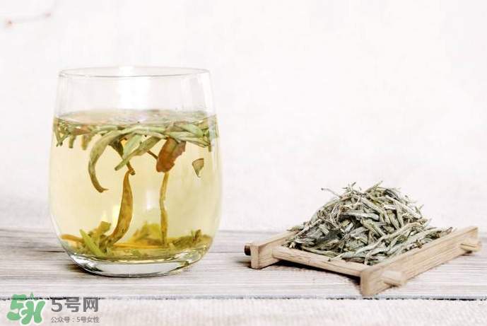 白毫銀針沖泡方法 白毫銀針口感好嗎？