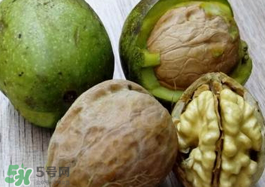 鮮核桃為什么是苦的？鮮核桃苦是怎么回事？