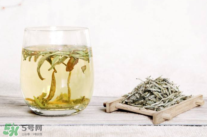 白毫銀針屬于綠茶嗎？白毫銀針是什么茶？