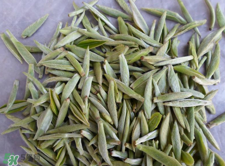 白毫銀針屬于綠茶嗎？白毫銀針是什么茶？
