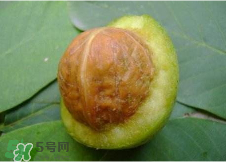 濕核桃可以放冰箱嗎？濕核桃放冰箱能放多久？