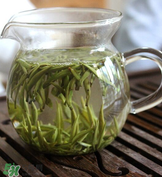 白毫銀針怎么保存？白毫銀針要放冰箱嗎？