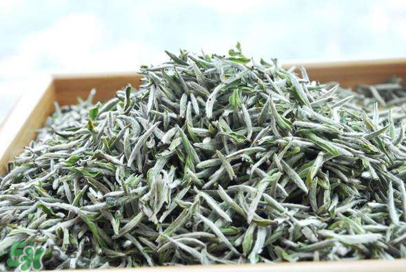 白毫銀針的產(chǎn)地在哪個?。堪缀零y針是哪里產(chǎn)的？