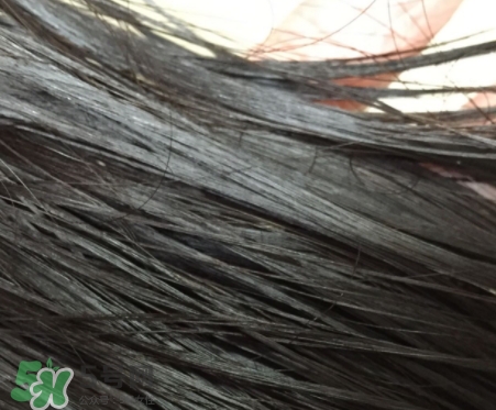 護(hù)發(fā)精油能不能抹頭皮？護(hù)發(fā)精油的危害