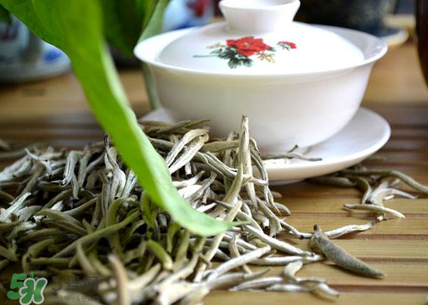 白茶需要洗茶嗎？白茶是洗還是不洗？