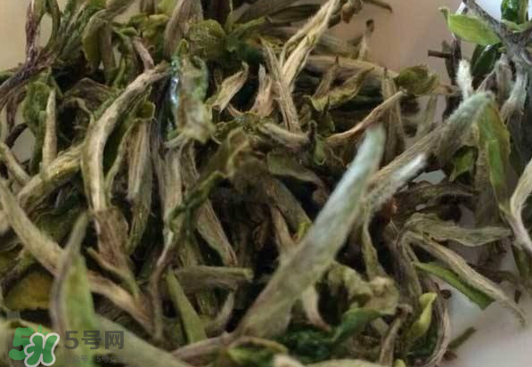 白茶需要洗茶嗎？白茶是洗還是不洗？