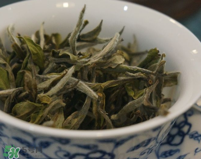 白茶需要洗茶嗎？白茶是洗還是不洗？