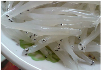 銀魚怎么保存？銀魚可以放在冰箱冷凍保存嗎？