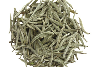 白毫銀針沖泡方法 白毫銀針口感好嗎？