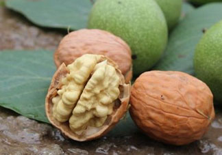 鮮核桃和干核桃哪個更有營養(yǎng)？鮮核桃和干核桃哪個營養(yǎng)價值高？