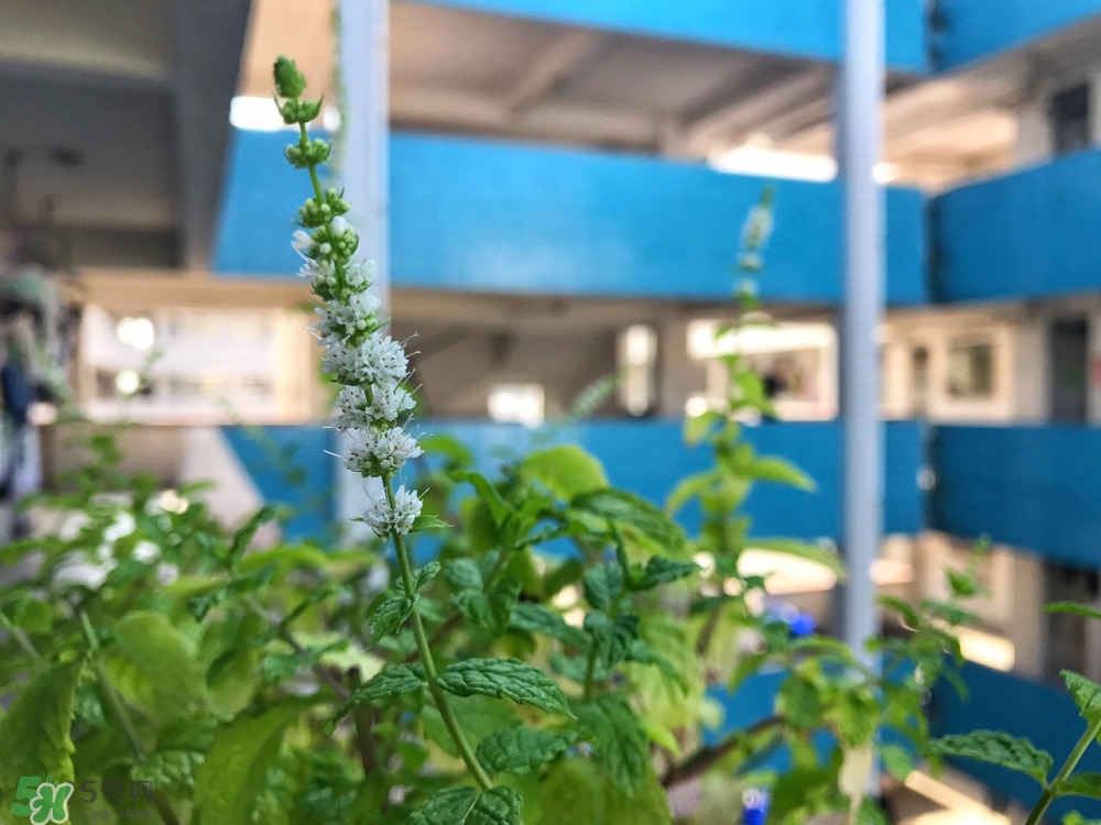 熬夜之后如何補(bǔ)救 熬夜第二天怎么補(bǔ)救 熬夜之后如何補(bǔ)救 熬夜第二天怎么補(bǔ)救