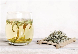 白毫銀針屬于綠茶嗎？白毫銀針是什么茶？