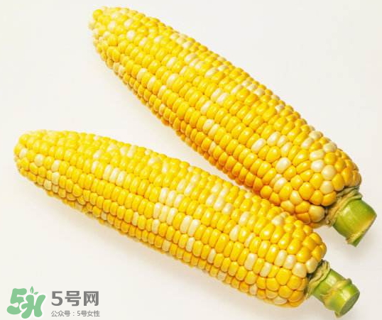 九月份能種玉米嗎？玉米九月份還可以種嗎？