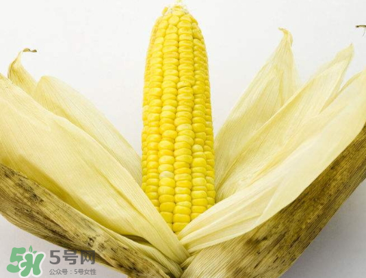 九月份能種玉米嗎？玉米九月份還可以種嗎？