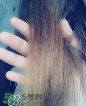 摩洛哥護(hù)發(fā)精油是哪個(gè)國家的？摩洛哥護(hù)發(fā)精油孕婦能用嗎