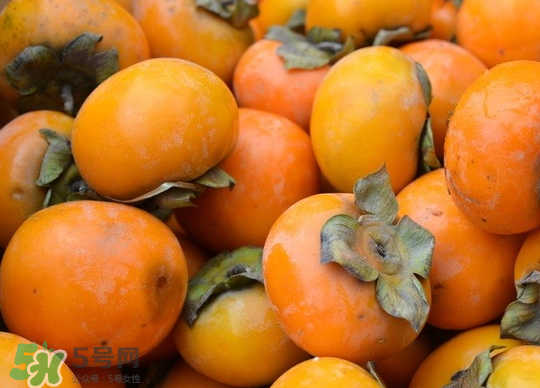 懶柿子幾月熟？哪種柿子適合做懶柿子？