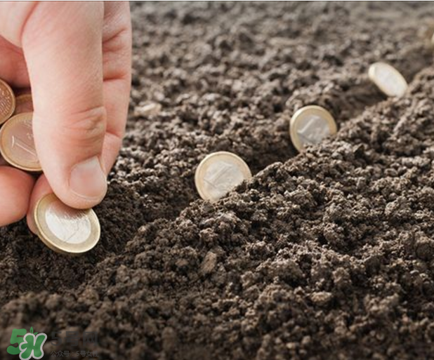 指甲上沒有月牙是怎么回事？指甲上沒有月牙是不是不健康？