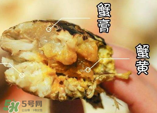 蟹黃是黑色的怎么回事？蟹黃中間有黑的是什么？
