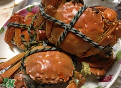 啤酒蒸大閘蟹怎么做？啤酒蒸大閘蟹做法步驟