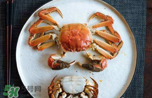 啤酒蒸大閘蟹好吃嗎？啤酒蒸大閘蟹怎么吃？