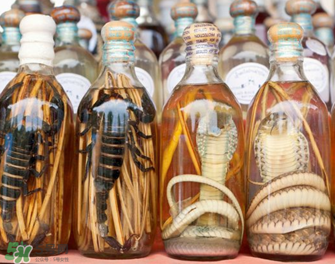 毒蛇泡酒有毒嗎？毒蛇泡酒能喝嗎？